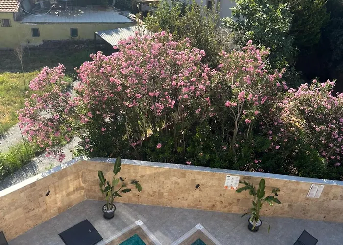 Ξενοδοχείο Zeus Κουσάντασι