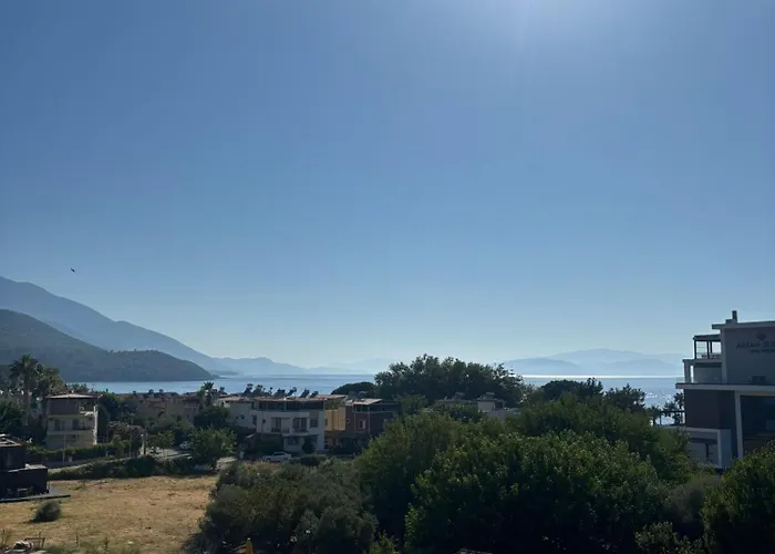 Zeus * Κουσάντασι